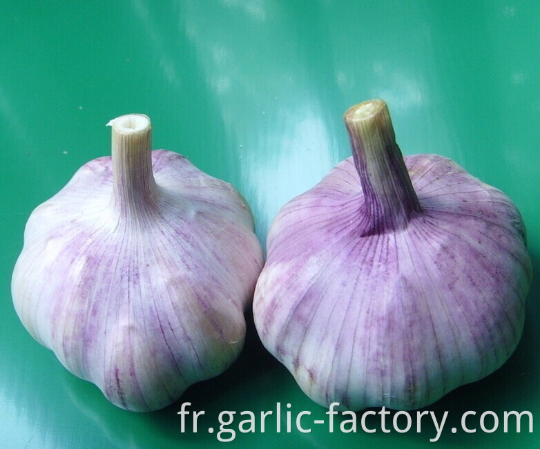 Vacuum packaging peeled garlic